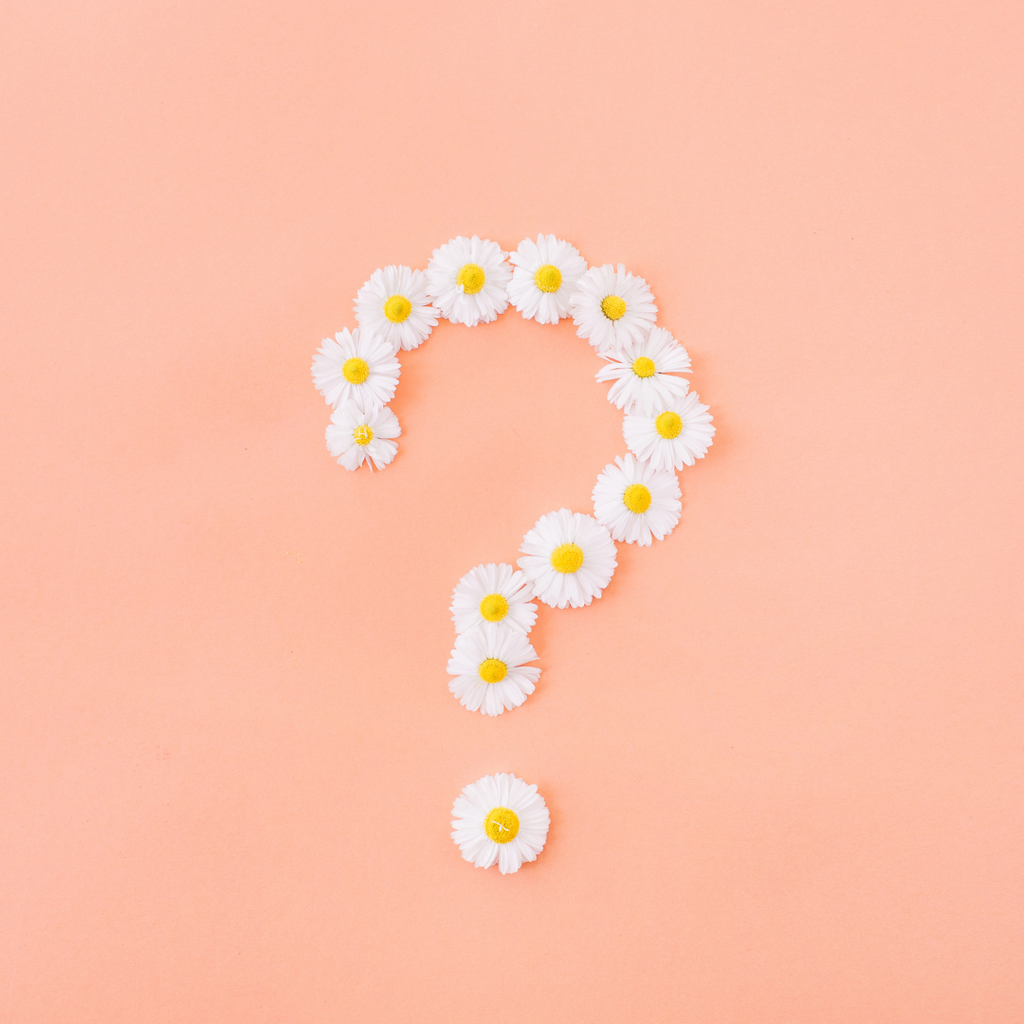 Becoming a Makeup Pro: The Top 10 Questions from Our Fresh Faces at Ma ...