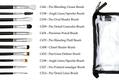 Crown Professional 18 piece Brush Set